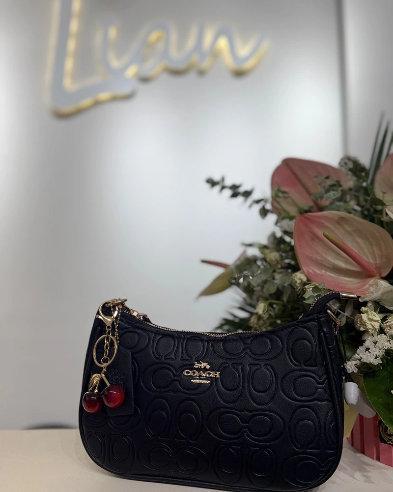 کیف coach 002